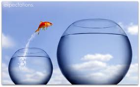 Goldfish Jumping Into Larger Bowl